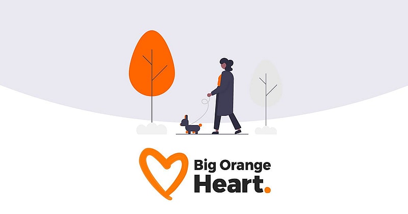 An illustrated person walking a dog
